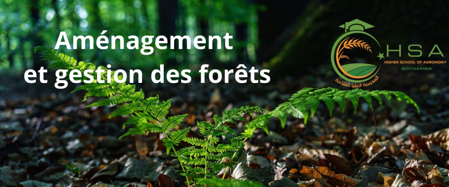 Aménagement et Gestion des Forêts