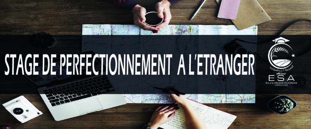 Nouvelle réglementation régissant la mobilité de courte durée à l&rsquo;étranger