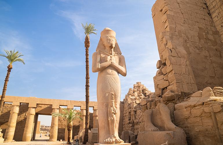 ف/ي المشاركة في أنشطة المنظمة العربية للتنمية الإدارية