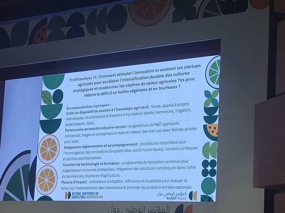 573906403_1419325526860854_8275694358542515494_n