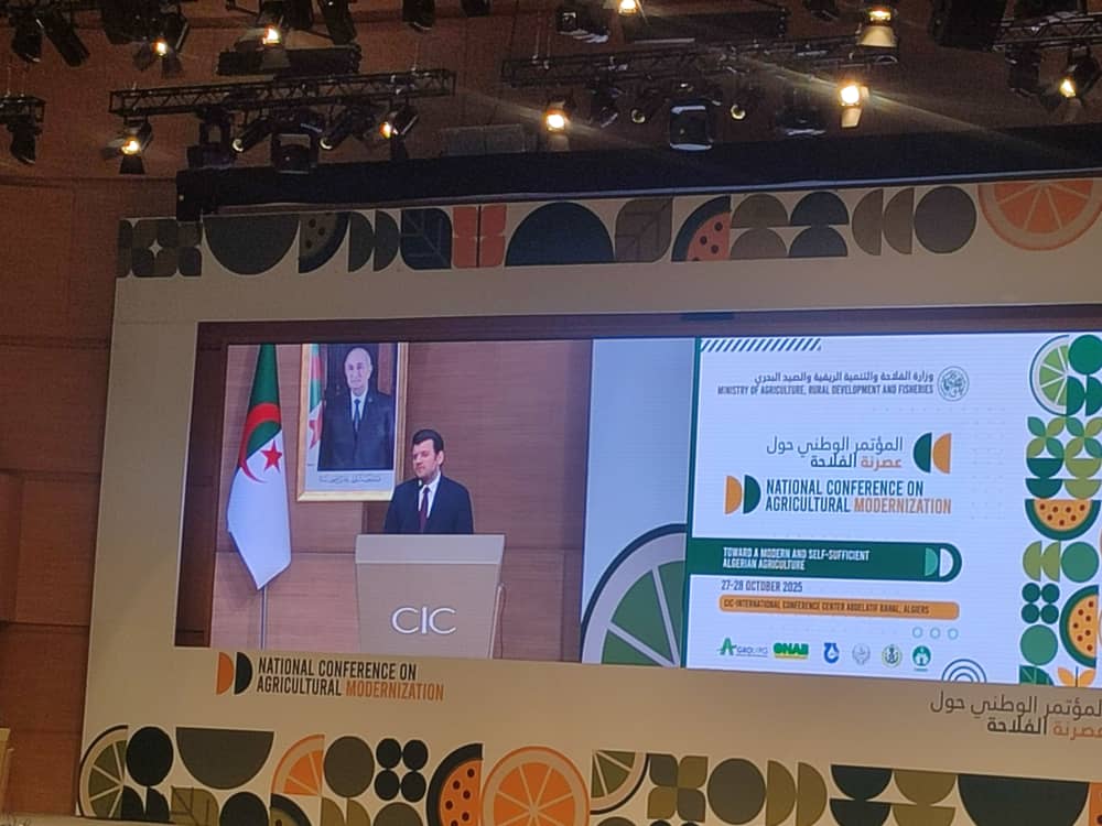 574111051_1419325536860853_5195889851069413082_n